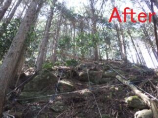 栃原川緊急予防治山事業(生野町)